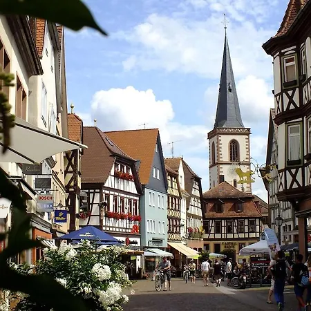 Hotel Lohr Am Main 호텔