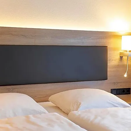 호텔 Hotel Lohr Am Main 3*