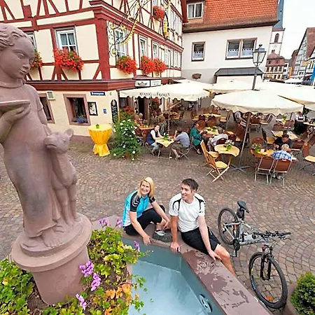 호텔 Hotel Lohr Am Main Lohr
